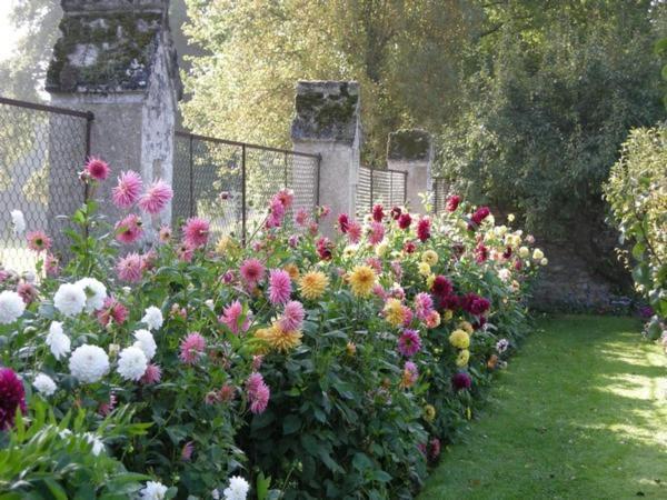Chateau De Montriou Feneu Exterior photo